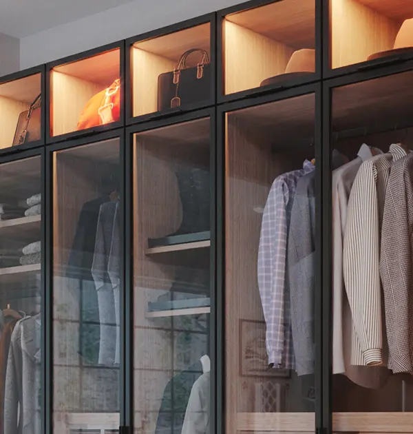 Glass front doors with LED lighting in wardrobe closet