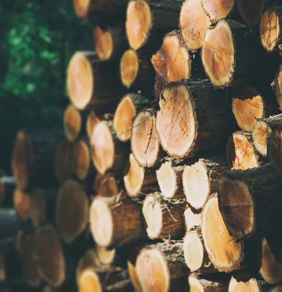 Stacked cut logs showing natural wood grain and texture.