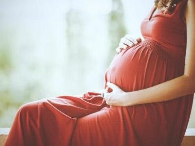 pregant lady belly