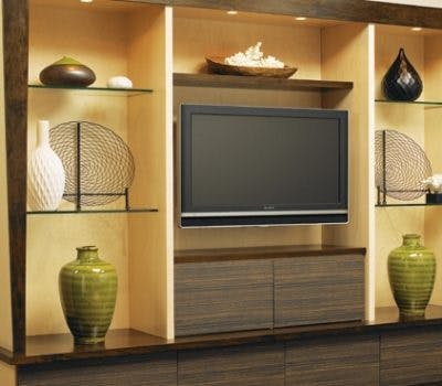 Organize Your Home Entertainment Center