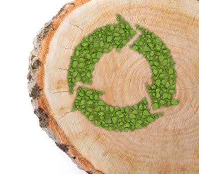 Remember Earth Day Everyday: Reduce Your Clutter, Recycle, and Reuse