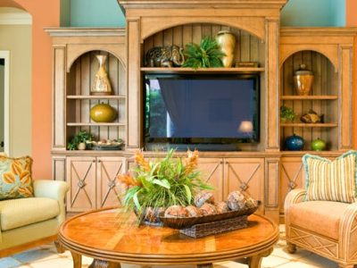 TV entertain,ent Center