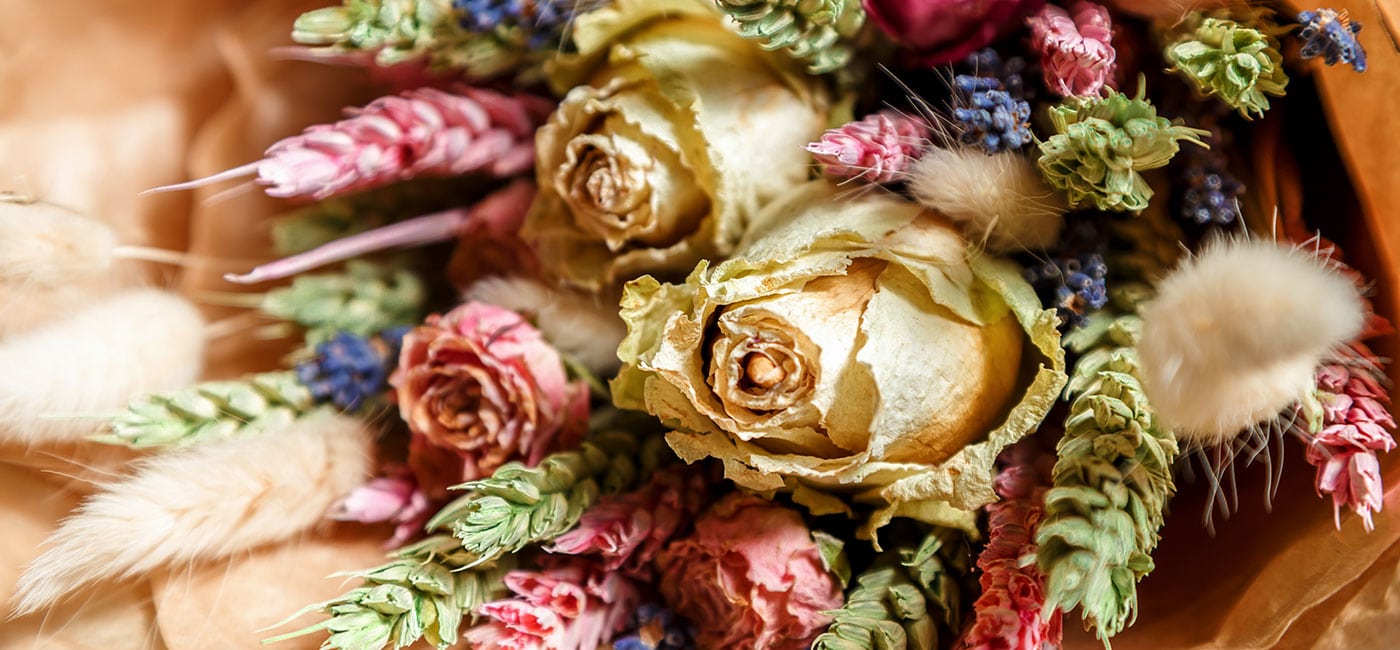 dry roses in white and pink