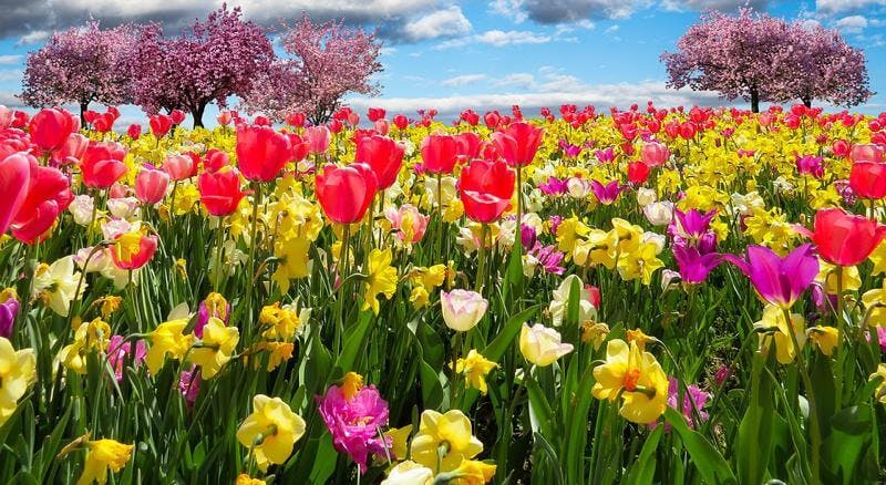 Add A Bit Of Spring To Your Home Office