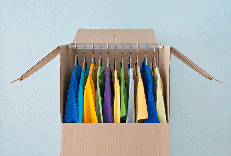 wardrobe box with clothes