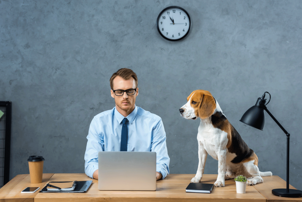 dog on desk