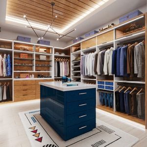 walk-in closet with blue island