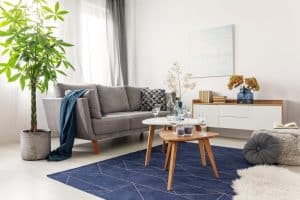 A living room with house plants
