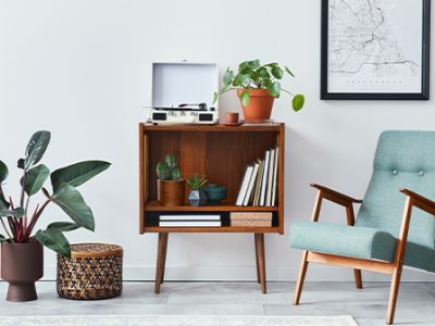 House plant decor