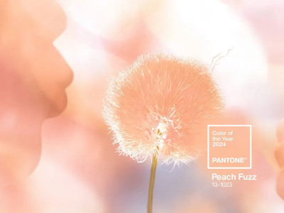 The Pantone Color of the Year
