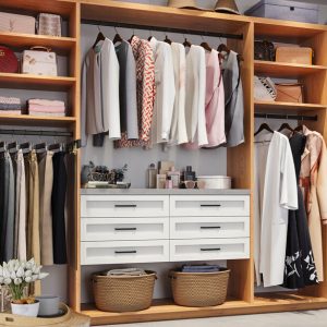 Reach-in closet with Two-tone system with Rustic Cherry structure and White Shaker drawer fronts. Features pull-out pants rack, adjustable shoe shelves, and integrated vanity space.