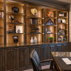 Book case shelving in office with LED lighting and custom cabinetry in dark wood tone