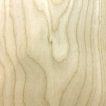 Maple