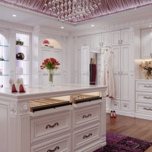 Custom walk-in closet with wall-to-wall cabinetry, open shoe shelving with LED lighting, and custom island with pull-out jewelry and accessory drawers