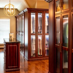 walk-in closet with rich dark wood cabinetry and reeded glass doors, featuring upper framed storage and soft LED light strips