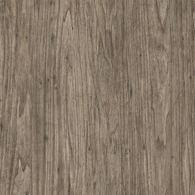Star Gazer melamine
