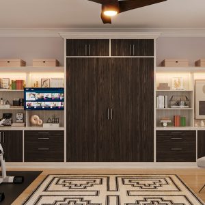Contemporary two-tone wall bed in dark espresso and light ash, surrounded by integrated media cabinetry and ambient lighting.