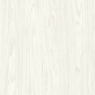 Winter Fun melamine