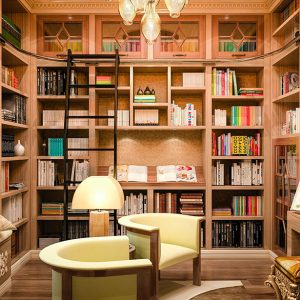Built-in shelving featuring built-in window seat and work desk, slanted book display shelf, and a rolling ladder for added accessibility.