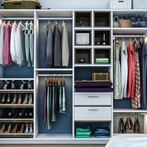 Reach-in closet featuring open shoe shelving with elite toe tops, LED lit hanging rods, and upper storage for luggage.